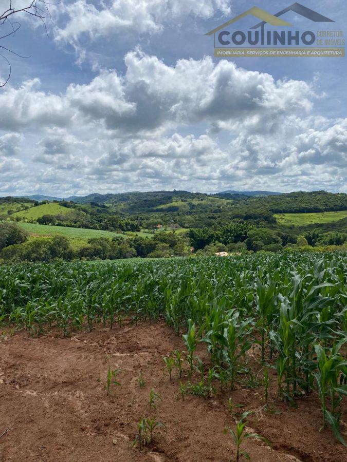 WhatsApp Image 2025-12-11 at 13.22.50.jpeg